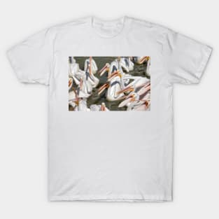 Hungry Pelicans T-Shirt